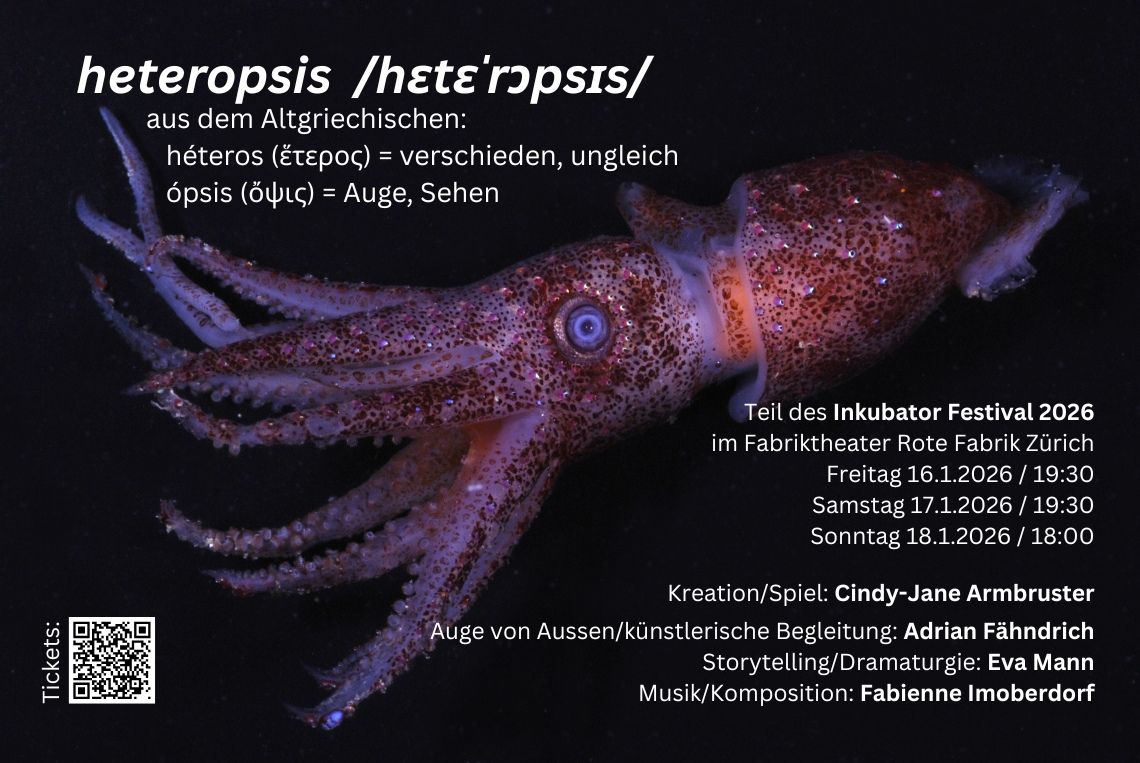heteropsis Flyer
